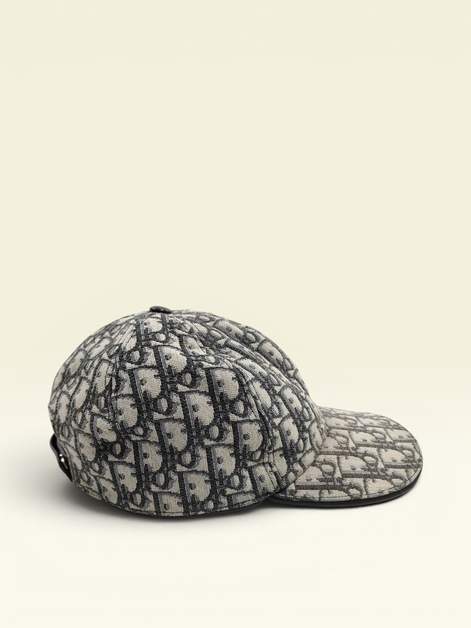 Dior Cap Oblique Leather