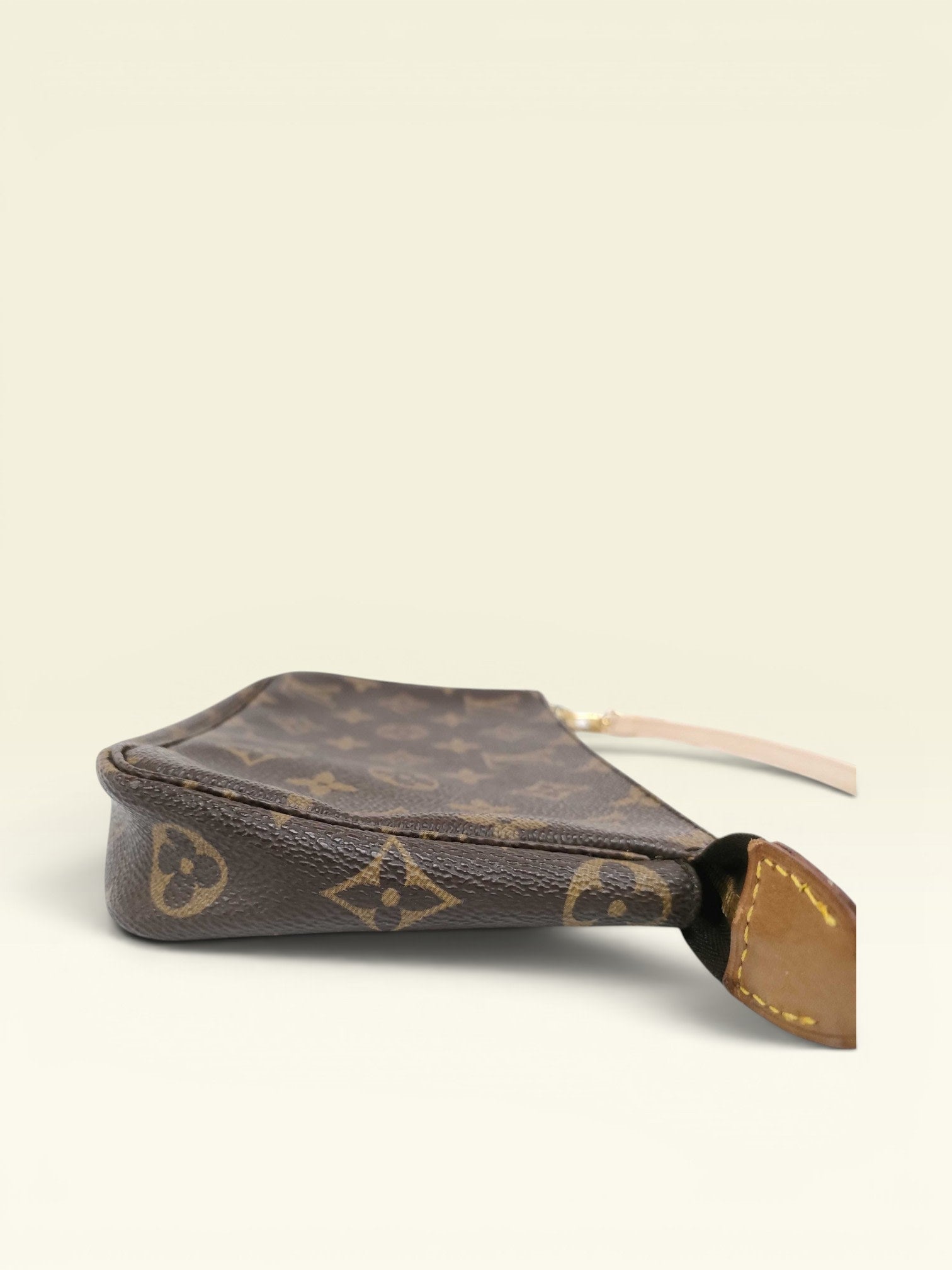 Louis Vuitton Monogram Pochette Accessory