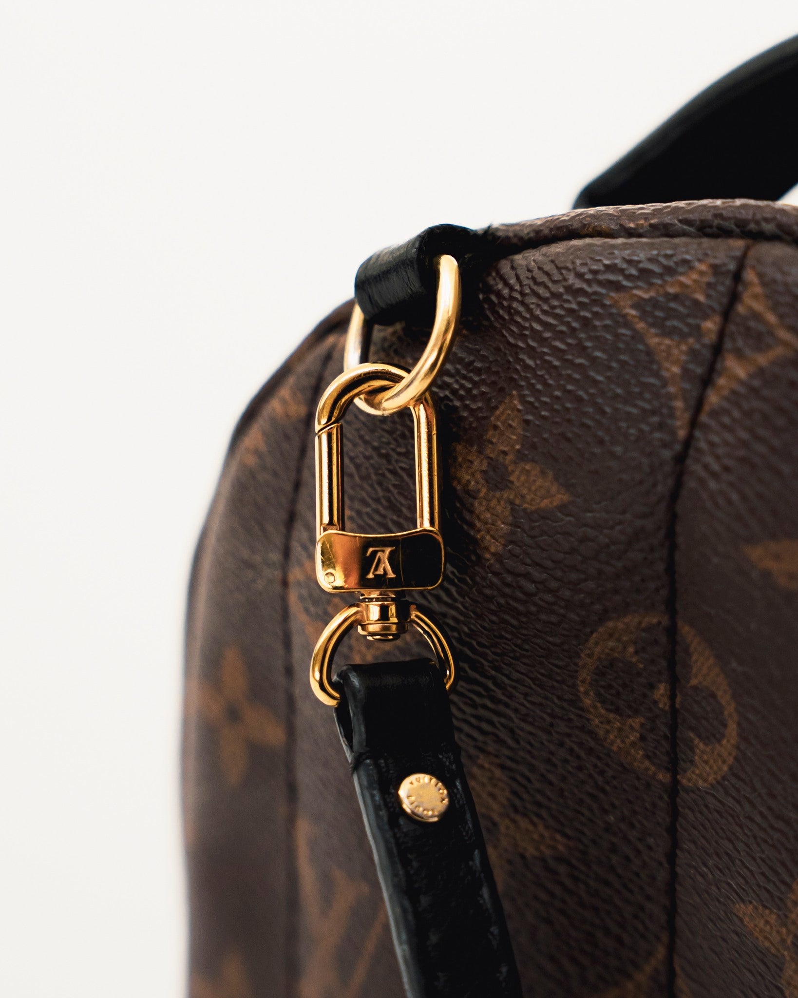 Louis Vuitton Palm Springs Monogram Mini Brown