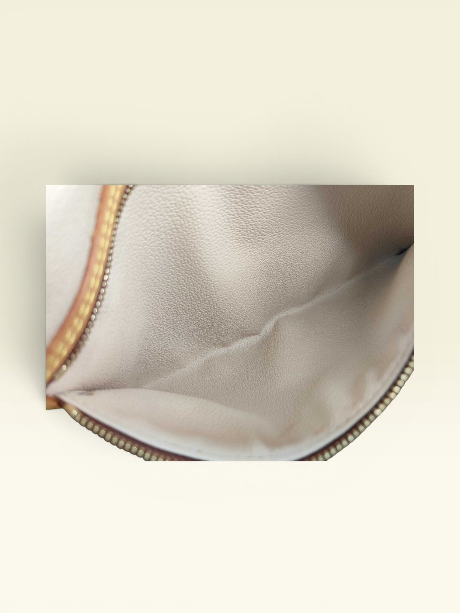 Louis Vuitton Monogram Bucket with Pouch Tote Bag