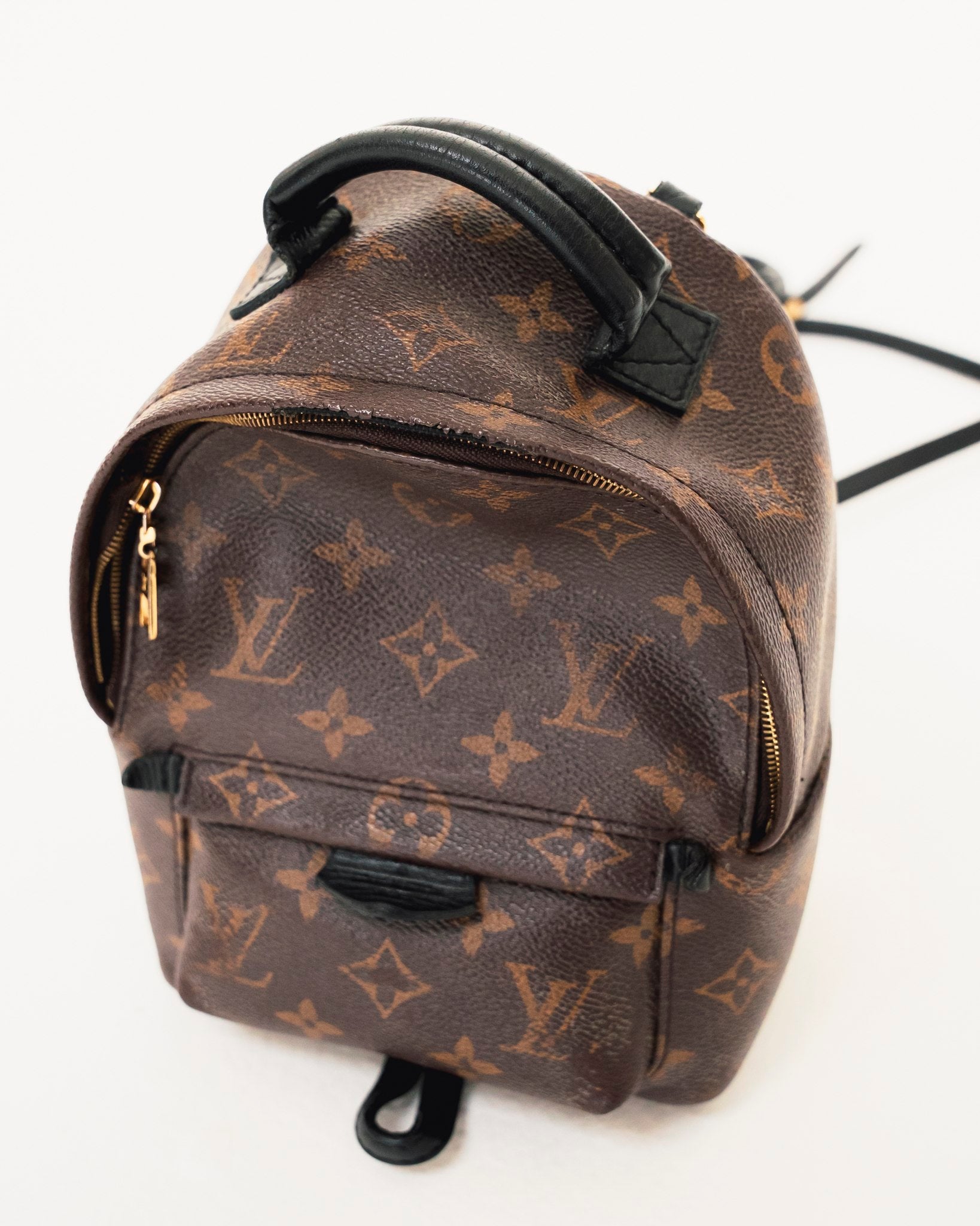 Louis Vuitton Palm Springs Monogram Mini Brown