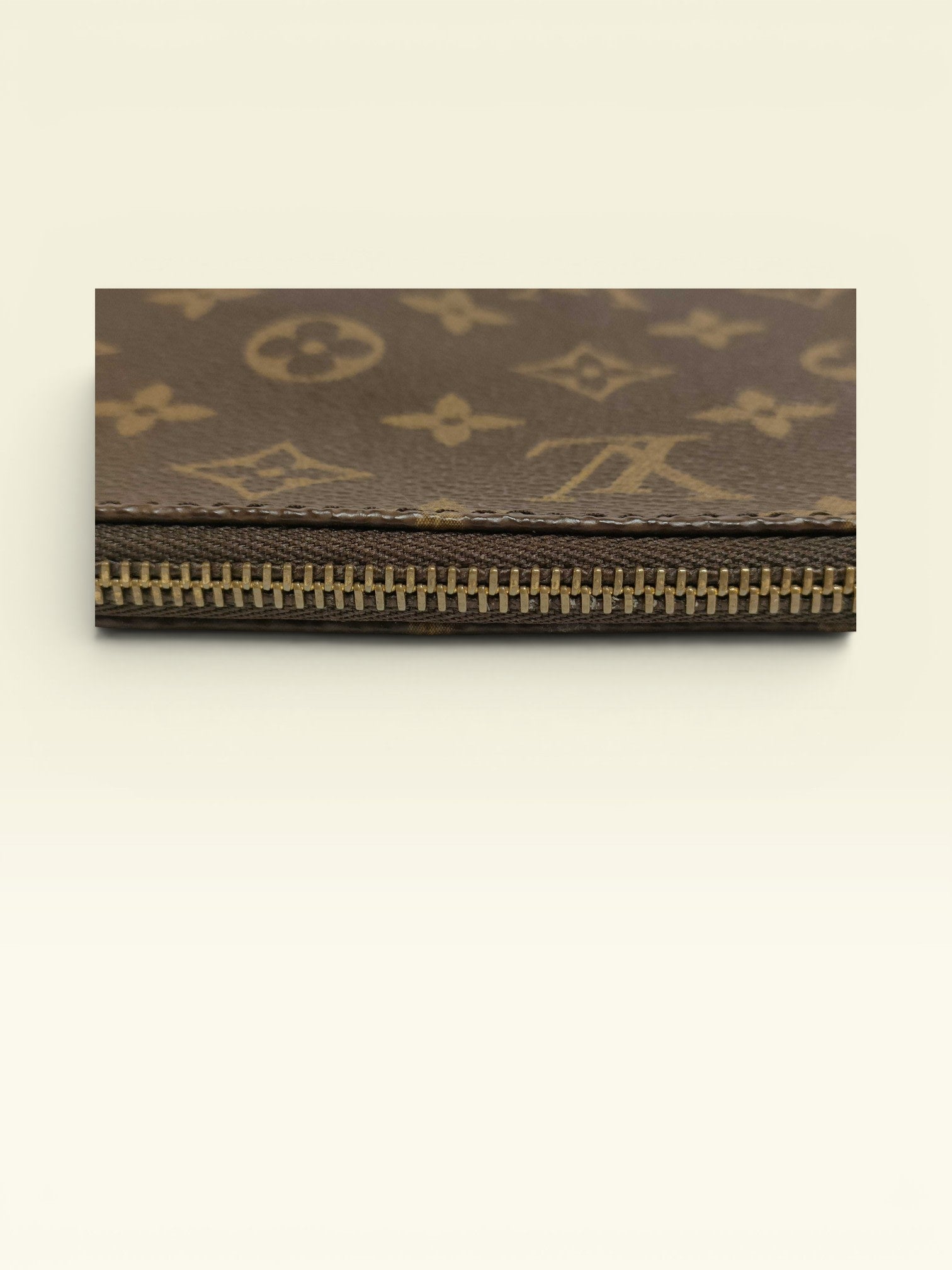 Louis Vuitton Monogram Pochette Accessory