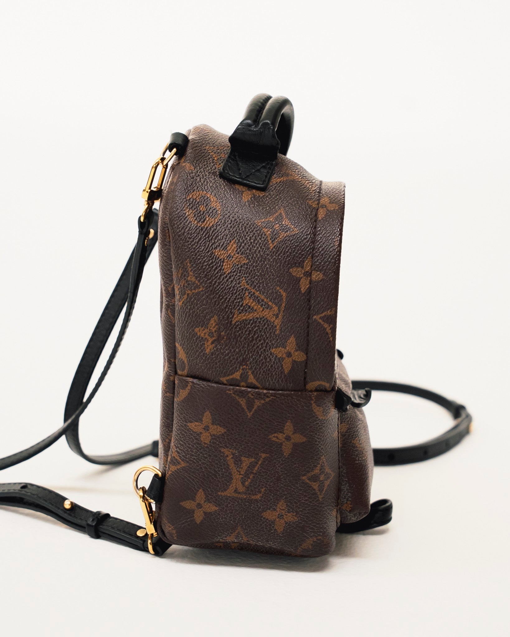 Louis Vuitton Palm Springs Monogram Mini Brown