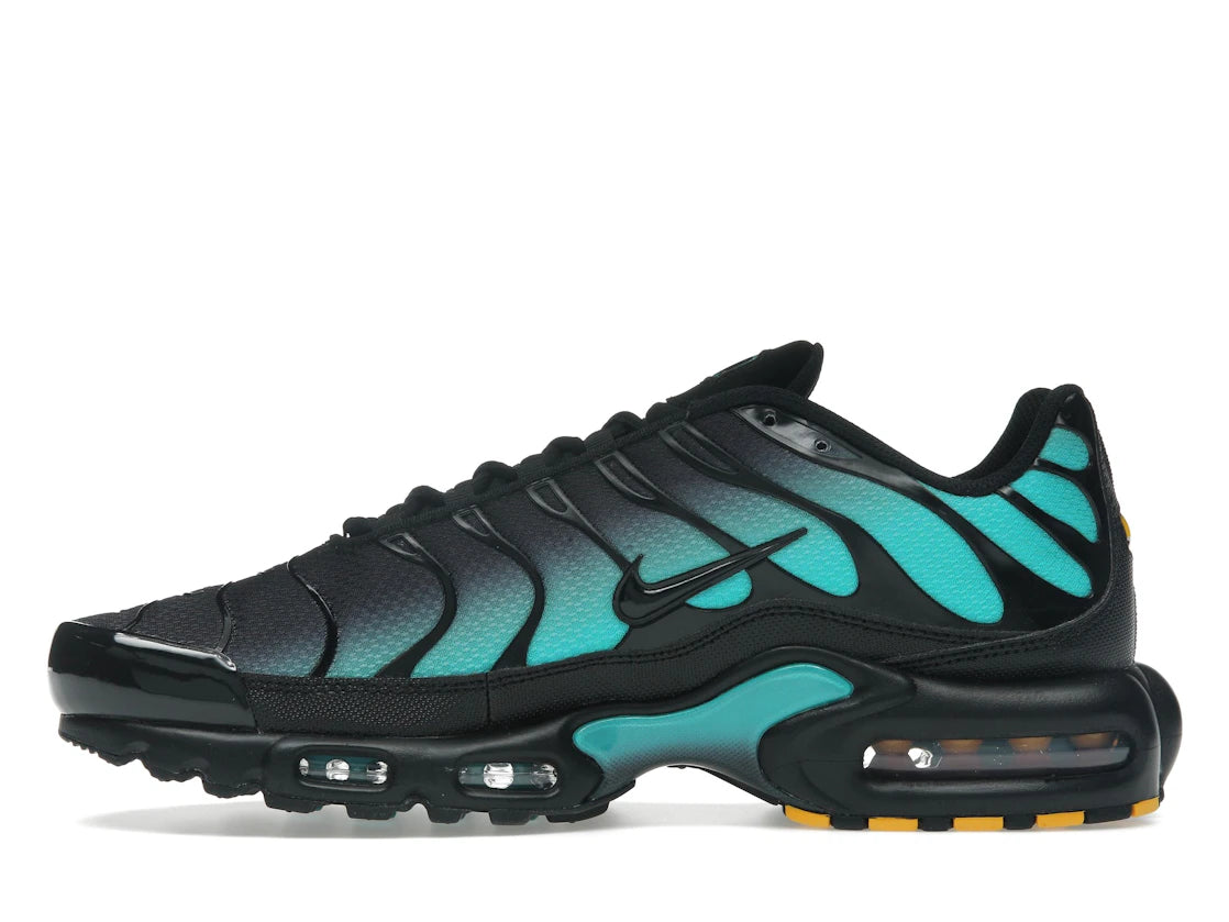 Nike Air Max Plus Black Dusty Cactus