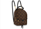 Louis Vuitton Palm Springs Monogram Mini Brown
