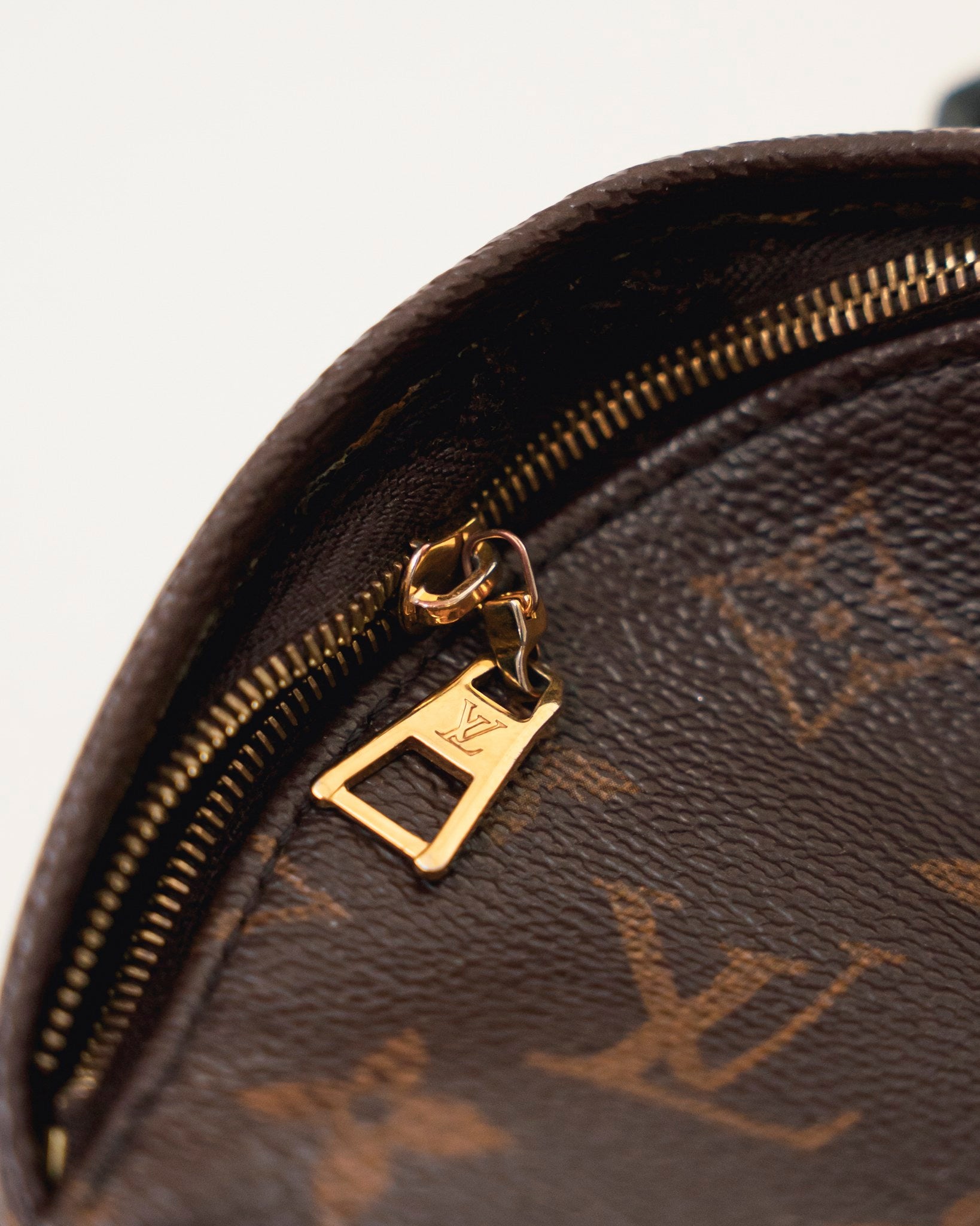 Louis Vuitton Palm Springs Monogram Mini Brown