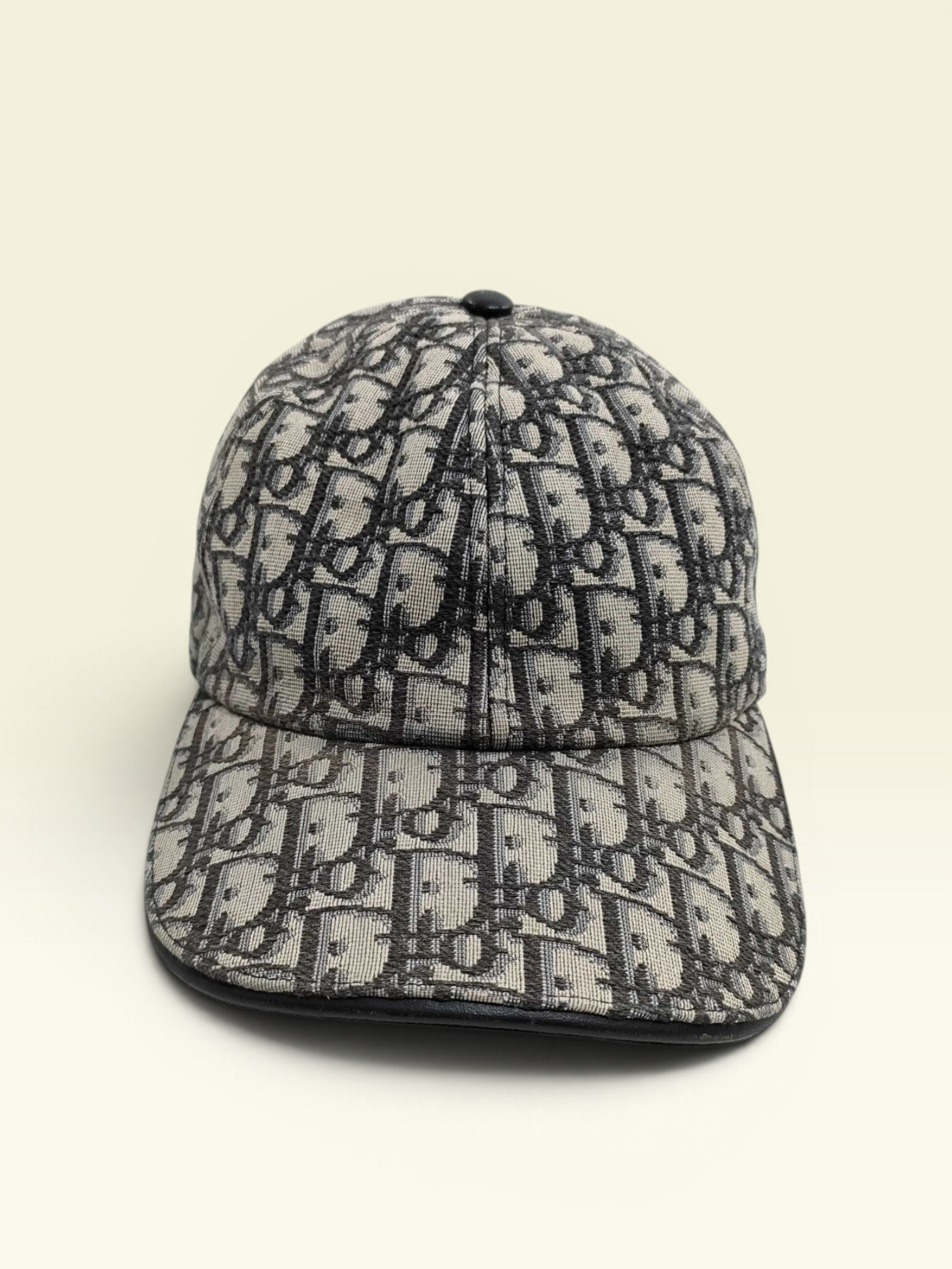 Dior Cap Oblique Leather