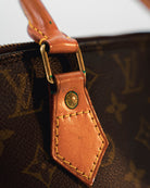 Louis Vuitton Pre-Owned Monogram Alma PM handbag