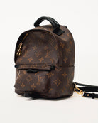 Louis Vuitton Palm Springs Monogram Mini Brown