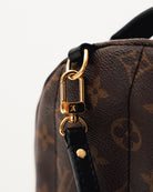 Louis Vuitton Palm Springs Monogram Mini Brown