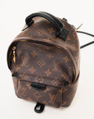 Louis Vuitton Palm Springs Monogram Mini Brown
