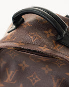Louis Vuitton Palm Springs Monogram Mini Brown