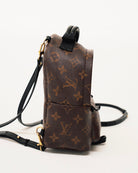 Louis Vuitton Palm Springs Monogram Mini Brown