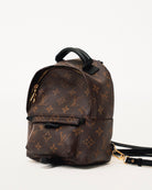 Louis Vuitton Palm Springs Monogram Mini Brown