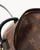 Louis Vuitton Palm Springs Monogram Mini Brown