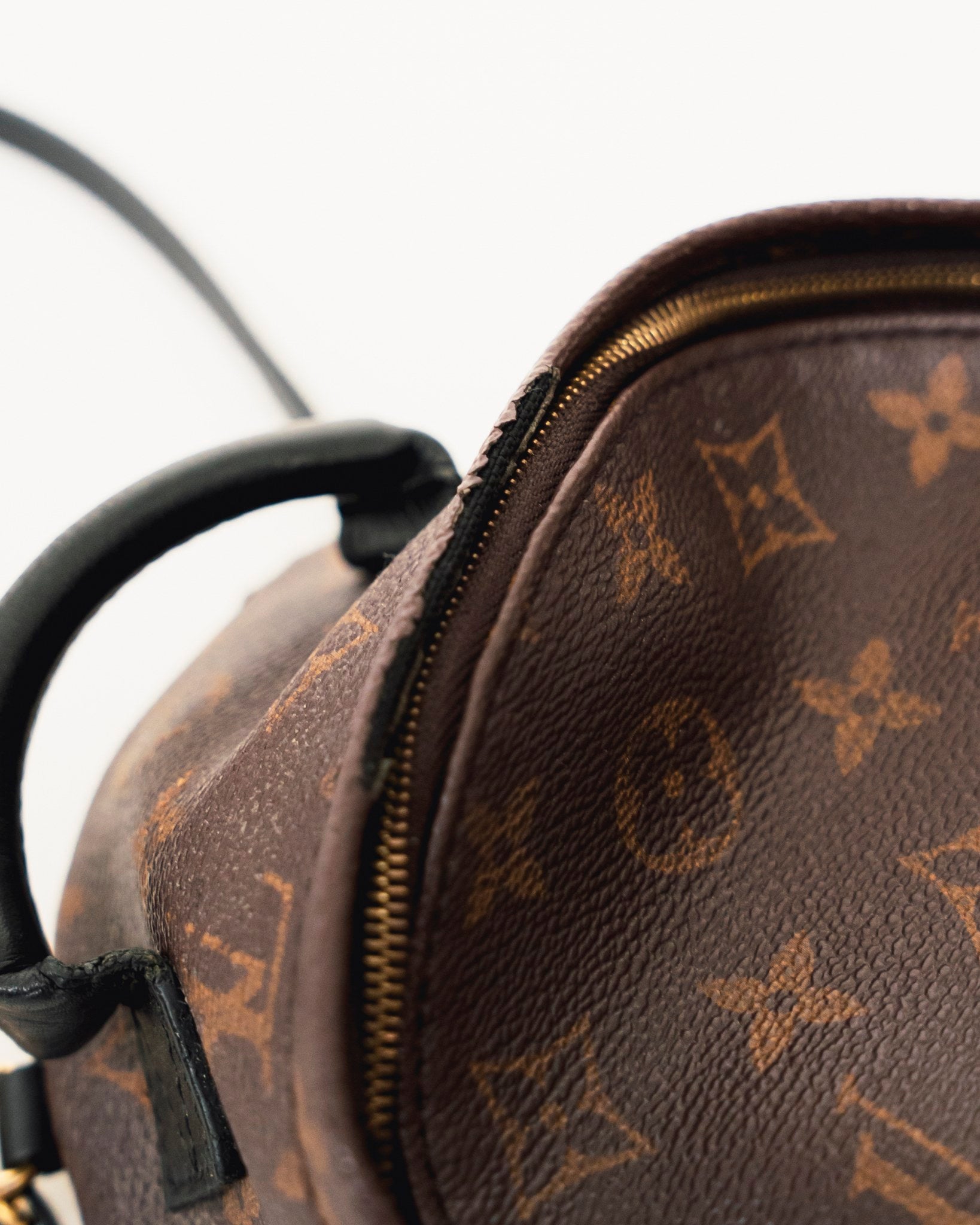 Louis Vuitton Palm Springs Monogram Mini Brown