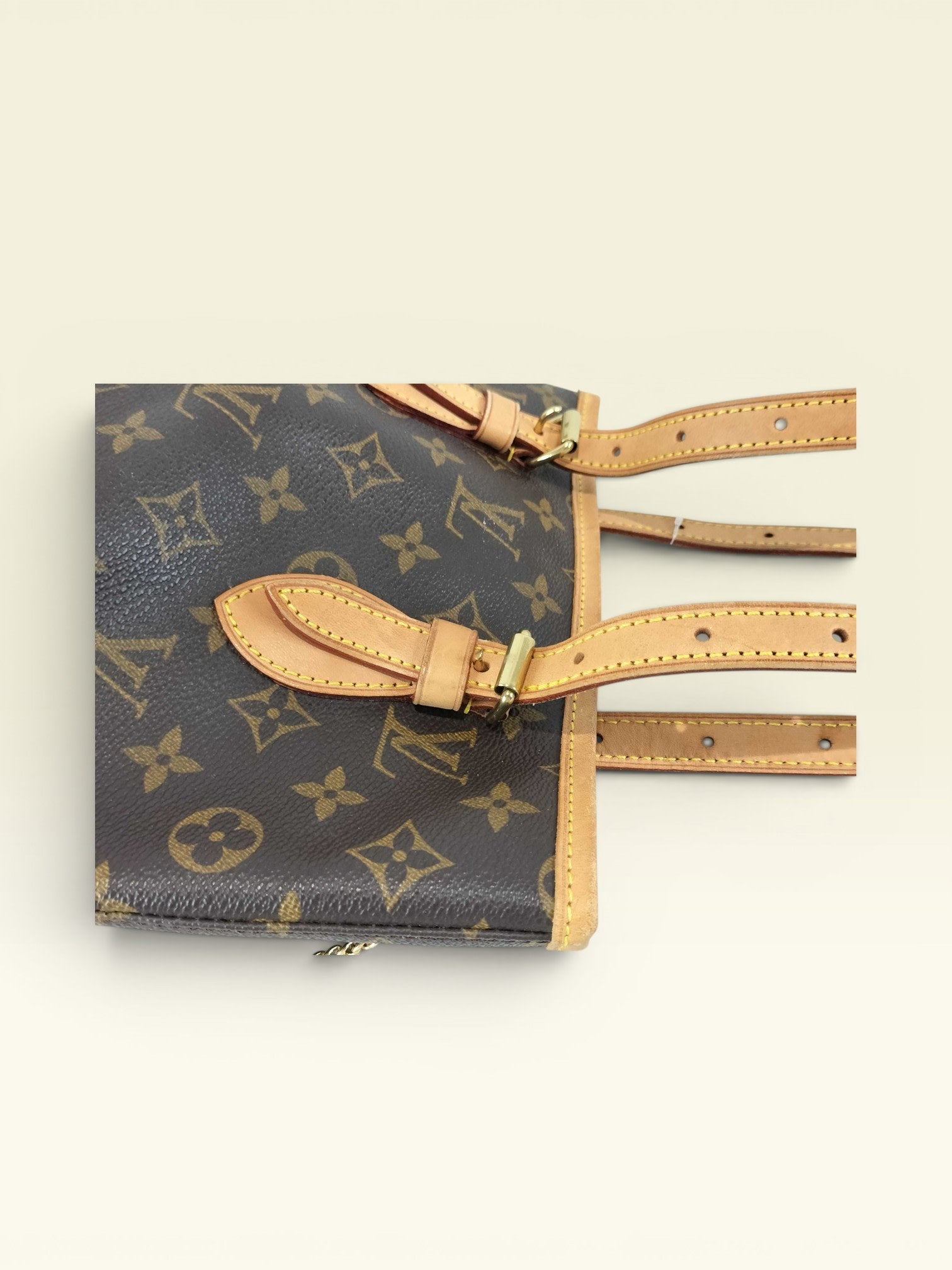 Louis Vuitton Monogram Bucket PM Tote Bag with Pouch